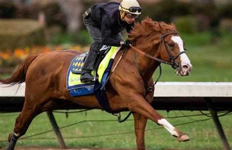 oaklawn park entries